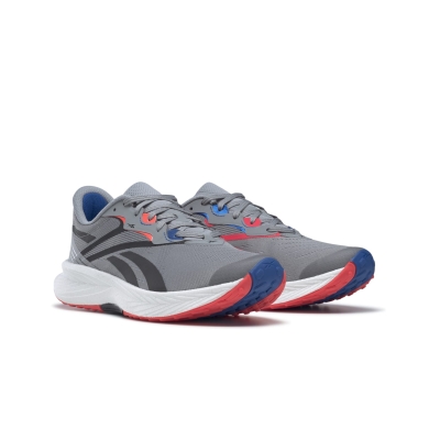 Reebok Buty biegowe Floatride Energy 5 2023 szare męskie